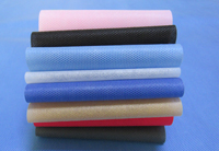 广德涤纶（PET）无纺布是什么